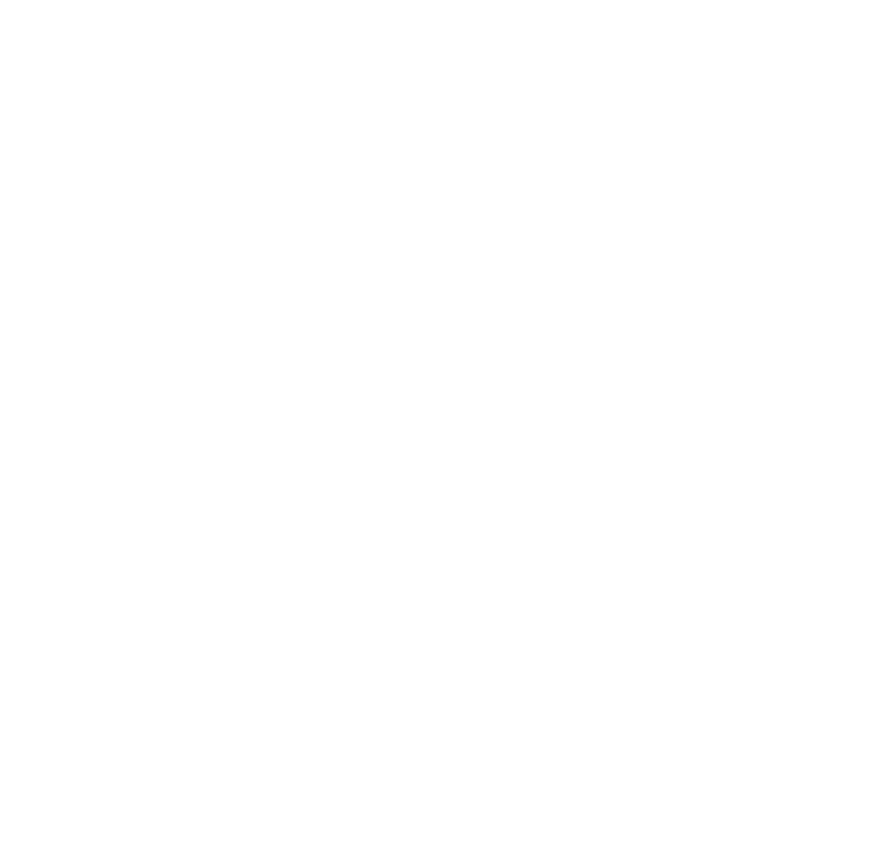 Professional illustration